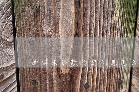 逾期未还款约定利息怎么算