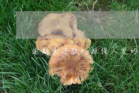 逾期未还款给担保人发的短行 逾期未还款给担保人发的短行