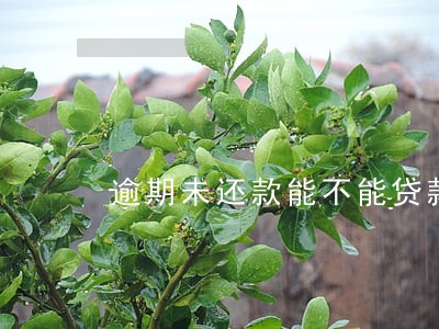 逾期未还款能不能贷款买房 逾期未还款能不能贷款买房