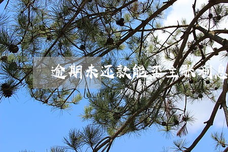 逾期未还款能否主张利息 逾期未还款能否主张利息