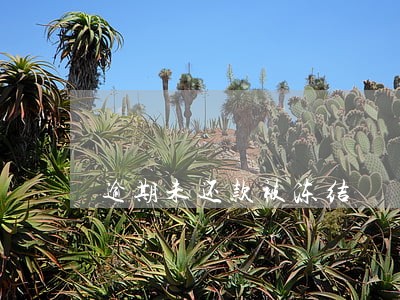 逾期未还款被冻结 逾期未还款被冻结