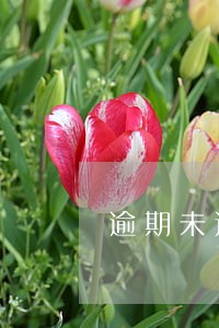 逾期未还款记录怎么办 逾期未还款记录怎么办