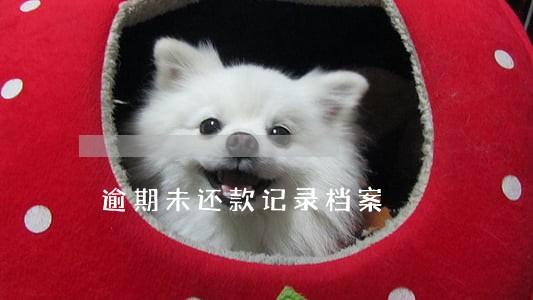 逾期未还款记录档案 逾期未还款记录档案