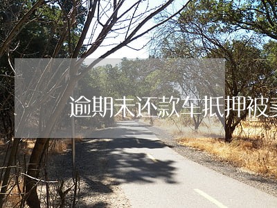 逾期未还款车抵押被卖了 逾期未还款车抵押被卖了