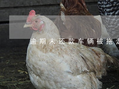 逾期未还款车辆被拖走可以报警吗 逾期未还款车辆被拖走可以报警吗
