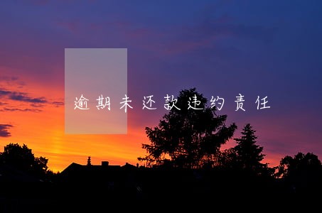 逾期未还款违约责任 逾期未还款违约责任