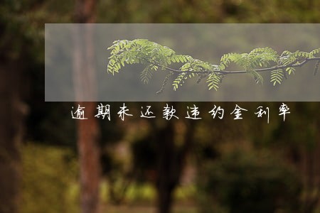 逾期未还款违约金利率 逾期未还款违约金利率