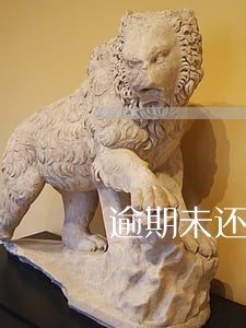 逾期未还款金额是什么意思