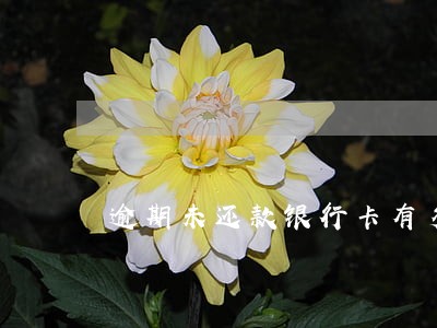 逾期未还款银行卡有多少钱 逾期未还款银行卡有多少钱
