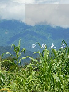 逾期未还清借款后还能用吗 逾期未还清借款后还能用吗