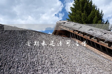 逾期未还清可以借 逾期未还清可以借