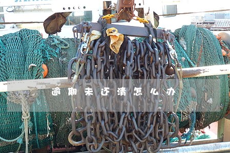 逾期未还清怎么办 逾期未还清怎么办