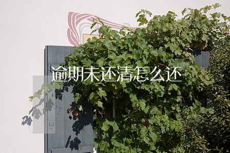 逾期未还清怎么还 逾期未还清怎么还