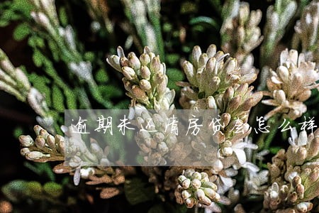 逾期未还清房贷会怎么样 逾期未还清房贷会怎么样