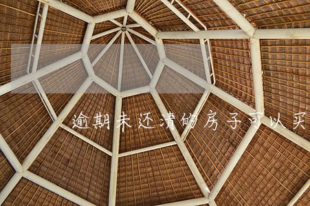 逾期未还清的房子可以买吗 逾期未还清的房子可以买吗
