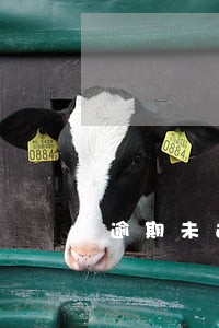 逾期未还清的房子怎么办 逾期未还清的房子怎么办