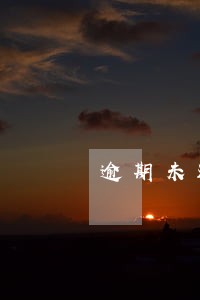 逾期未还清的房子怎么处理 逾期未还清的房子怎么处理