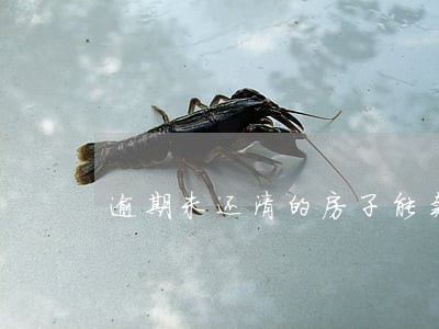 逾期未还清的房子能卖吗 逾期未还清的房子能卖吗