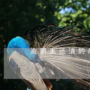 逾期未还清的房贷怎么处理 逾期未还清的房贷怎么处理
