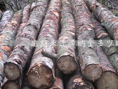 逾期未还滞纳金多少钱 逾期未还滞纳金多少钱