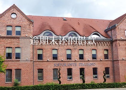 逾期未还的借款 逾期未还的借款