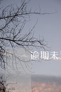 逾期未还的借款订立合同 逾期未还的借款订立合同