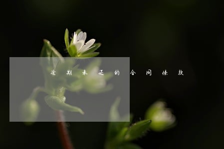 逾期未还的合同条款