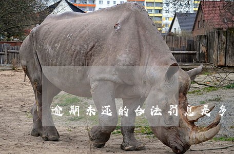 逾期未还的合法罚息是多少