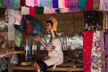 逾期未还的后果 逾期未还的后果