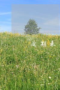 逾期未还的房子可以抵押吗 逾期未还的房子可以抵押吗