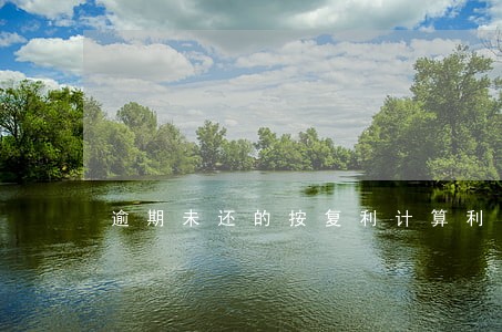 逾期未还的按复利计算利息 逾期未还的按复利计算利息