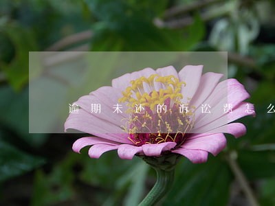 逾期未还的诉讼费怎么算 逾期未还的诉讼费怎么算
