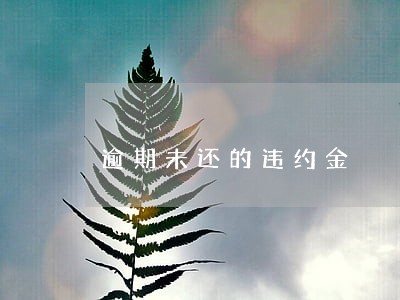 逾期未还的违约金 逾期未还的违约金