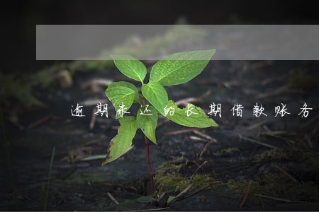 逾期未还的长期借款账务处理 逾期未还的长期借款账务处理