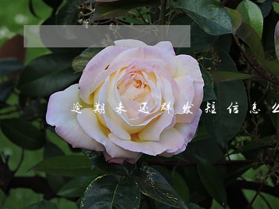 逾期未还群发短信怎么办 逾期未还群发短信怎么办