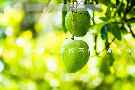逾期未还能不能分期买车 逾期未还能不能分期买车