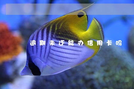 逾期未还能办信用卡吗 逾期未还能办信用卡吗