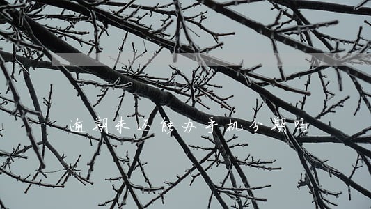 逾期未还能办手机分期吗 逾期未还能办手机分期吗