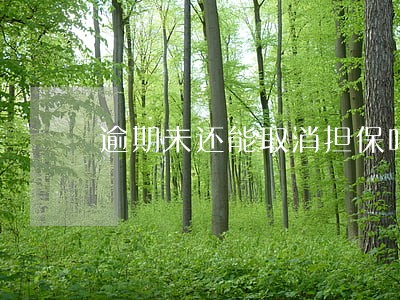 逾期未还能取消担保吗 逾期未还能取消担保吗