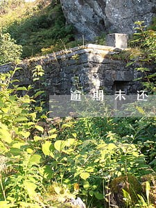 逾期未还能贷款吗