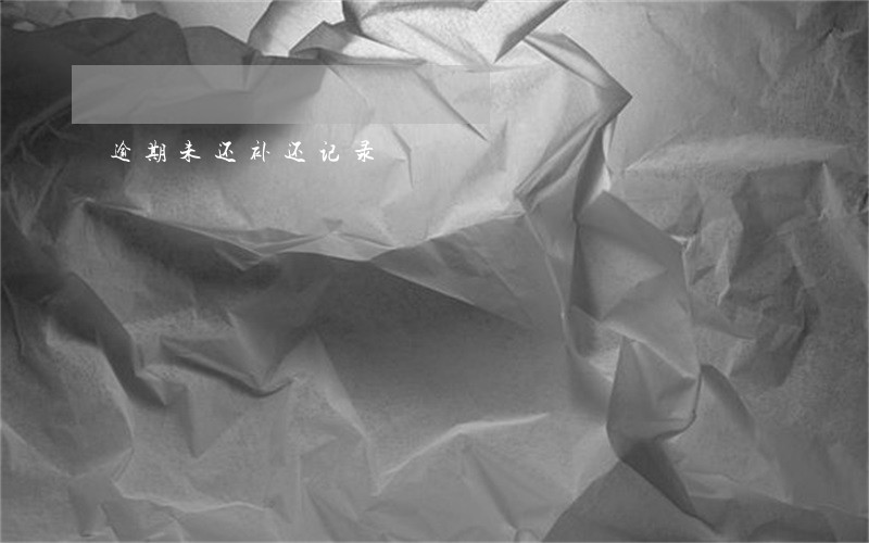 逾期未还补还记录