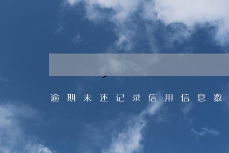 逾期未还记录信用信息数据库 逾期未还记录信用信息数据库