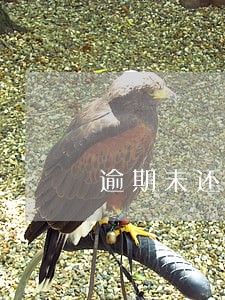 逾期未还贷款口子大全 逾期未还贷款口子大全