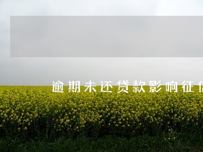 逾期未还贷款影响征信吗 逾期未还贷款影响征信吗