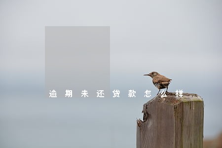 逾期未还贷款怎么样 逾期未还贷款怎么样