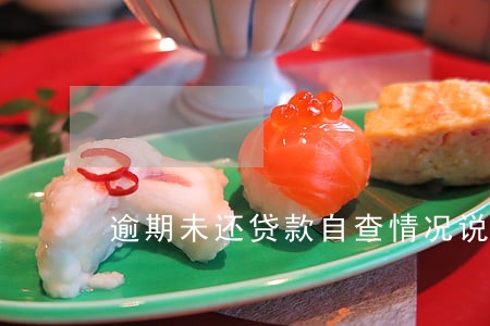逾期未还贷款自查情况说明 逾期未还贷款自查情况说明