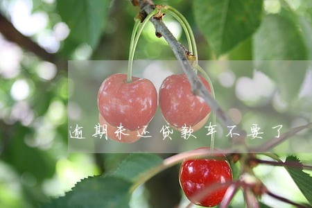 逾期未还贷款车不要了 逾期未还贷款车不要了