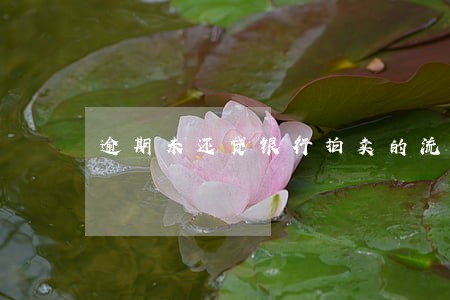 逾期未还贷银行拍卖的流程 逾期未还贷银行拍卖的流程