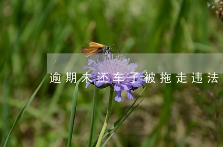 逾期未还车子被拖走违法吗 逾期未还车子被拖走违法吗