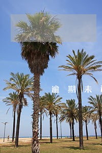 逾期未还车贷家人被催收 逾期未还车贷家人被催收